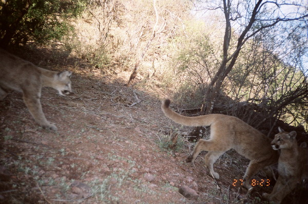 Your hosts on the Jaguar Trail at the Hotel Opata in <i>Valle de Tacupeto</i>.