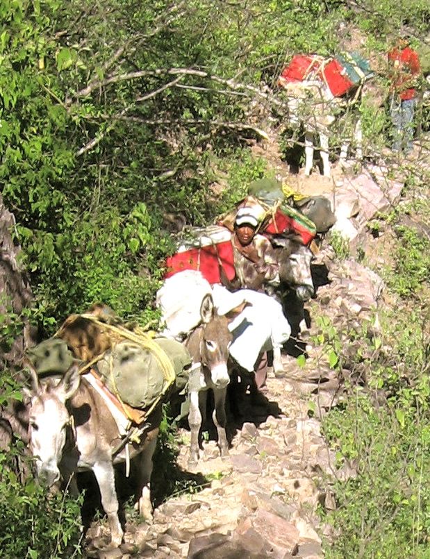 Enjoy Burro Supported Hiking with Copper Canyon Trails: Adventure Travel with just a Day Pack.