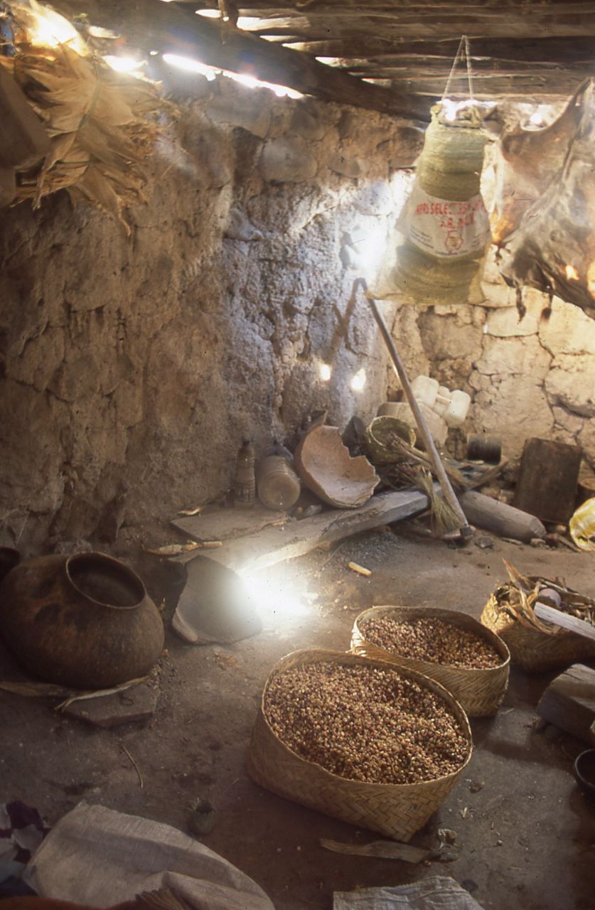 The simple practicality of a Tarahumaran dwelling is mainly for storage- away from stock.